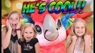 FUR REAL ROCK-A-TOO THE SHOW BIRD!!