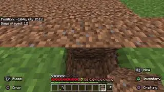 Minecraft realm 1