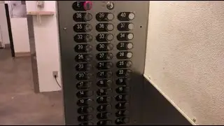 Fast Otis Traction Service Elevators @ Westin, South Tower - Seattle, WA.