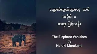 Part 1 | The Elephant Vanishes #DWYT
