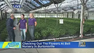 Where's Marty? Checking out the flowers at Bell Nursery in Burtonsville