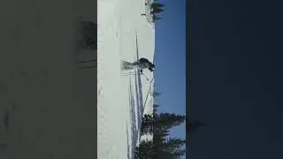 Make it count - the mountain doesn't wait | Fast Entry Snowboard Bindings