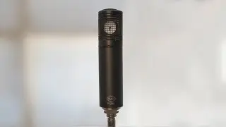 Peluso P-280 - Large Diaphragm Condenser Microphone
