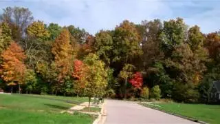Cheshire Woods    HAID ENTERPRISES INC.