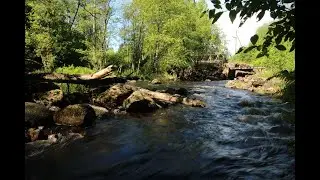 Eemeli ja  Esa Pakarinen - S&auml;kkij&auml;rven polkka (sanat)
