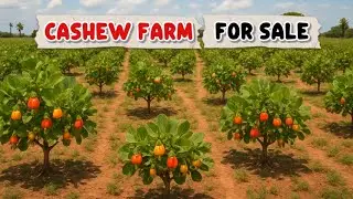 Big Land for sale in The Gambia
