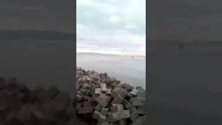 dav.nor