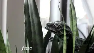FeZZa - Охуенный Шэн