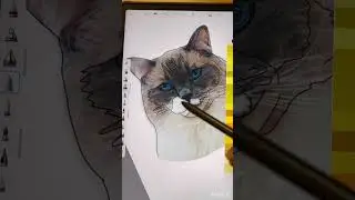 How to prepare a pattern and material for an embroidered portrait #embroidery  #catlover