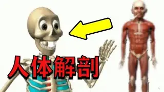 给儿童玩的人体解剖游戏？因为内容过于阴间惨遭下架！