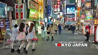 TOKYO CITY TRAVEL 14 - WALKING TOUR Shinjuku, Kabukicho, Omoide Yokocho and Musashino Street, 4K