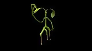 How to get Pickett Shoulder Companion