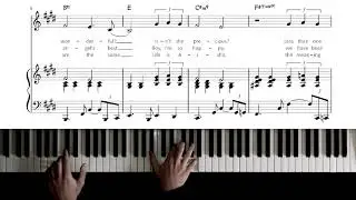 Stevie Wonder - Isn't She Lovely - Piano Cover & Sheet Music