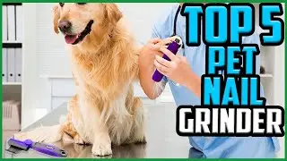 Top 5 Best Pet Nail Grinders in 2021 Reviews [Buyer&rsquo;s Guide]