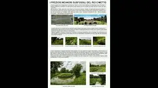 14 I PREZIOSI MEANDRI SUBFOSSILI DEL RIO CIMETTO