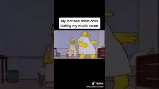 Irish Memes