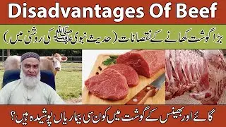 Disadvantages Of Beef In Urdu/Hindi | Bade Ka Gosht-Gosht Khane Ke Nuksan | Al-Razaqi Health Recover