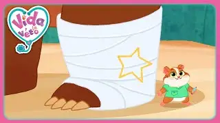 Otto A Mal A La Jambe (Compilation) | Vida la Véto | Dessins Animés Pour Enfants