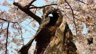 DJ Macro Live Mix 21-April-2011.