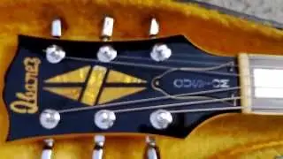 Ibanez Lawsuit Les Paul 1976