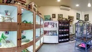 Totally Reptiles Vic Central
