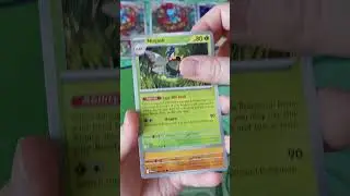 Daily Pokemon pack - Mega Evolution! #shorts #pokemon #pokemontcg #pokemoncards