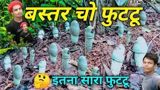 बस्तर चो फुटटू ।। Bastar Cho futu।। Bastariya futu🍄।। Kurso Blogger।। #kursoblogger