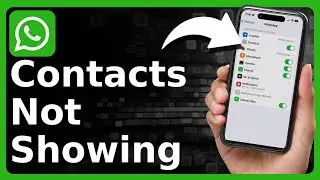 Как исправить ошибку &laquo;Контакты WhatsApp не отображаются на iPhone&raquo;