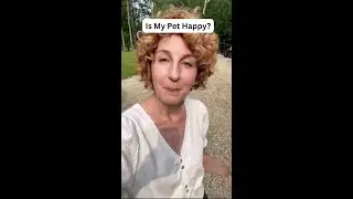 Is Your Pet Happy? How to Tell