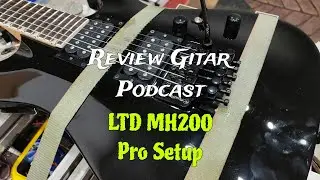 REVIEW GITAR - ESP LTD MH200 | Profesional Setup