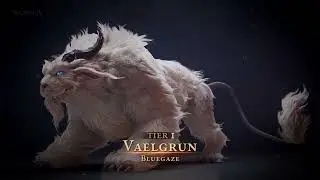 Can You Guess the Rarest Mount? - VALANNIA MOUNTS
