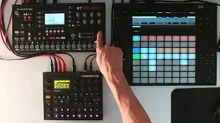 Minimal Loop JAM ➡️ #Jamuary2024 - Day 27