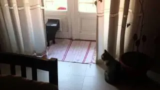 Gina e Kya