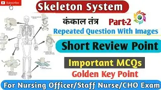 Skeleton system Most important repeated question for staff nurses exam,MCQ on Skeletal system AIIMS