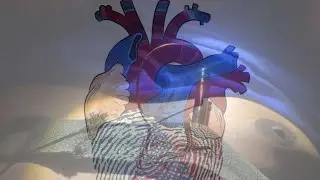 My Pulsating Heart