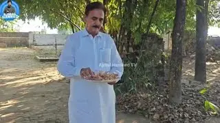 Saffron ki Kasht