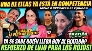 ULTIMA REFUERZO DE EXALTON REVELADO?? 🔥 YA SE SABE QUIEN LLEGA HOY A LOS ESCARLATAS?