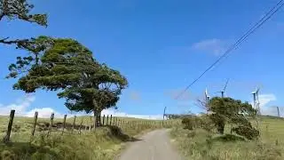 a walk among the wind turbines near parcelas