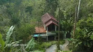 Escape to our Coffee Plantation Luxury Resort: A Perfect Blend of Serenity and Indulgence.