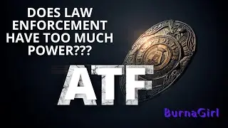 Does Law Enforcement Have Too Much Power
