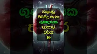 වකුගඩු පිරිසිදු කරන ආහාර වර්ග 10ක් 🥬 | Top 10 Kidney Cleansing Foods |