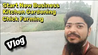 Start New Business | chick Farming and Kitchen Gardening | First Video #islam #islamic #shorts