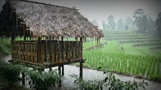 &ldquo;Cozy Rain on Window &bull; Sleep Fast with Gentle Rain Sounds&rdquo; by AZM Rain