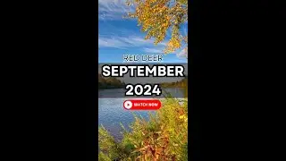 Red Deer Market Update: September 2024 🏡