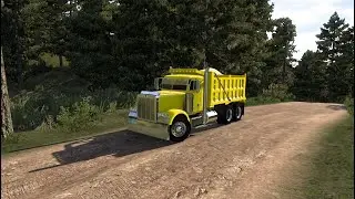 pete 379 short nose