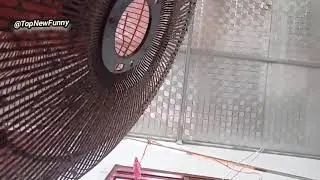 😴Asmr White Noise for Sleep Standing Fan Sounds