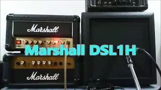 Simple comparison of Marshall &rdquo;8001 head&rdquo; and &rdquo;DSL1H&rdquo;