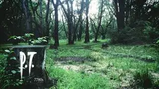 Indie Game Review: 7780s Studio&rsquo;s P.T. w/ Special Guest Beau Maddox (Collateral Cinema) &ndash; Collate...
