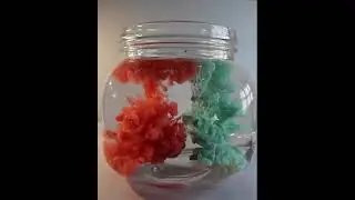 Orange coral and Teal color cloud(Aqueous)