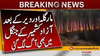 Fire erupts in forests of Kotli Azad Kashmir | Margalla Hills | Pakistan News